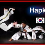 🥋 Todo lo que necesitas saber sobre las Artes Marciales Hapkido: ¡Una guía completa!