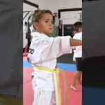 🥋 Descubre las mejores escuelas de artes marciales en Rivas: ¡domina las técnicas más efectivas! 🥋