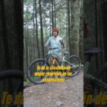 🚵‍♀️Descubre las mejores bicicletas de montaña rodada 29: ¡un verdadero deleite para los aventureros!