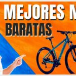 🚲💰Descubre las mejores bicicletas rodado 29 económicas en nuestro blog