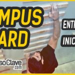 🧗‍♀️ Descubre los mejores campus de escalada para mejorar tus habilidades