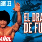 🐉 Descubre los secretos del arte marcial del dragón: Dragon Artes Marciales 🥋