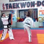 🥋 Descubre los mejores escudos de taekwondo y protege tu práctica marcial 🛡️