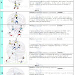 🏐💪 Guía de entrenamiento de voleibol para principiantes: tips, ejercicios y estrategias para comenzar en el mundo del vóley