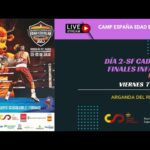 🥊 ¡Comienza la lucha! Federación Española de Boxeo: Todo lo que necesitas saber 🇪🇸