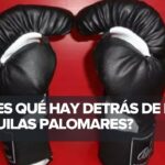 🥊 Descubre los mejores 👊 guantes de box Palomares para tus entrenamientos intensos