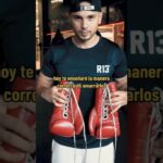 🥊 ¡Descubre los mejores guantes de boxeo con cordones para una protección imbatible! 🥊