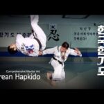 🥋 ¡Aprende todo sobre el ⚡️Hapkido Coreano⚡️ y deslumbra con tus habilidades! 💪