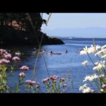 🛶🌊 Descubre la belleza natural de San Juan en kayak: ¡Un paraíso acuático por explorar! 🌴🌊