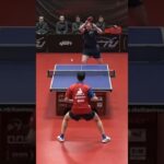 🏓 Descubre las mejores mesas de ping pong Tottus: ¡Aumenta la diversión en tus partidas!