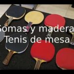 🏓 Descubre la mejor 🥇 paleta de tenis de mesa profesional: guía completa y recomendaciones de expertos