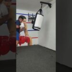 🥊 ¡Desafía tus límites con el poderoso saco de boxeo de 40 kg! Descubre cómo entrenar como un campeón 🥊