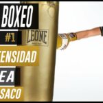 🥊 Descubre cómo elegir el mejor saco de boxeo en casa y golpea tus metas fitness