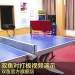 🏓🐠 Descubre la mejor opción de mesa de ping pong Double Fish para disfrutar del juego sin límites