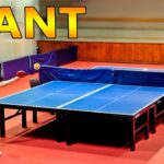 🏓 Descubre la increíble mesa de🏓 ping pong grande ideal para competiciones y diversión en casa